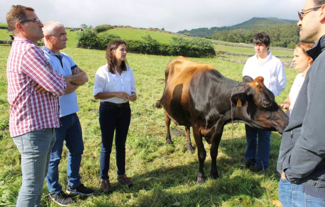 “O pagamento justo à produção é uma prioridade”, diz Lara Martinho