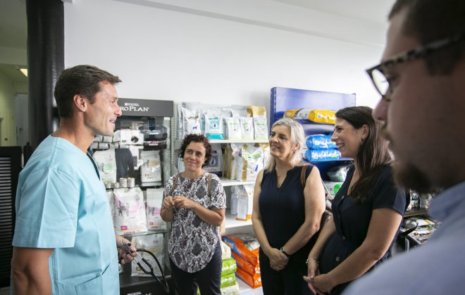 “Políticas na área do bem-estar animal tem sido positivas”, destaca Sofia Ávila Lima