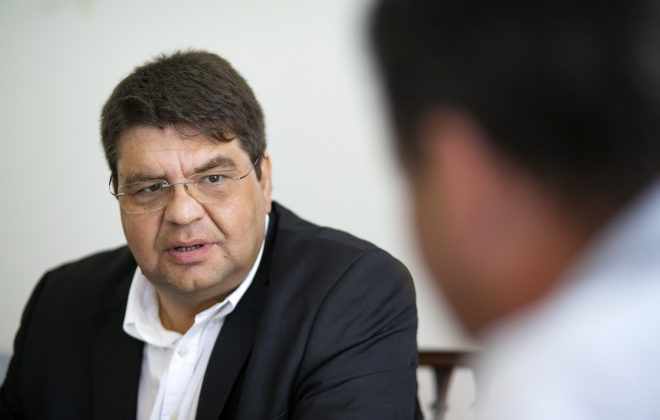 PS/A quer “continuar o processo de afirmação dos lacticínios dos Açores e defender preço justo à produção”